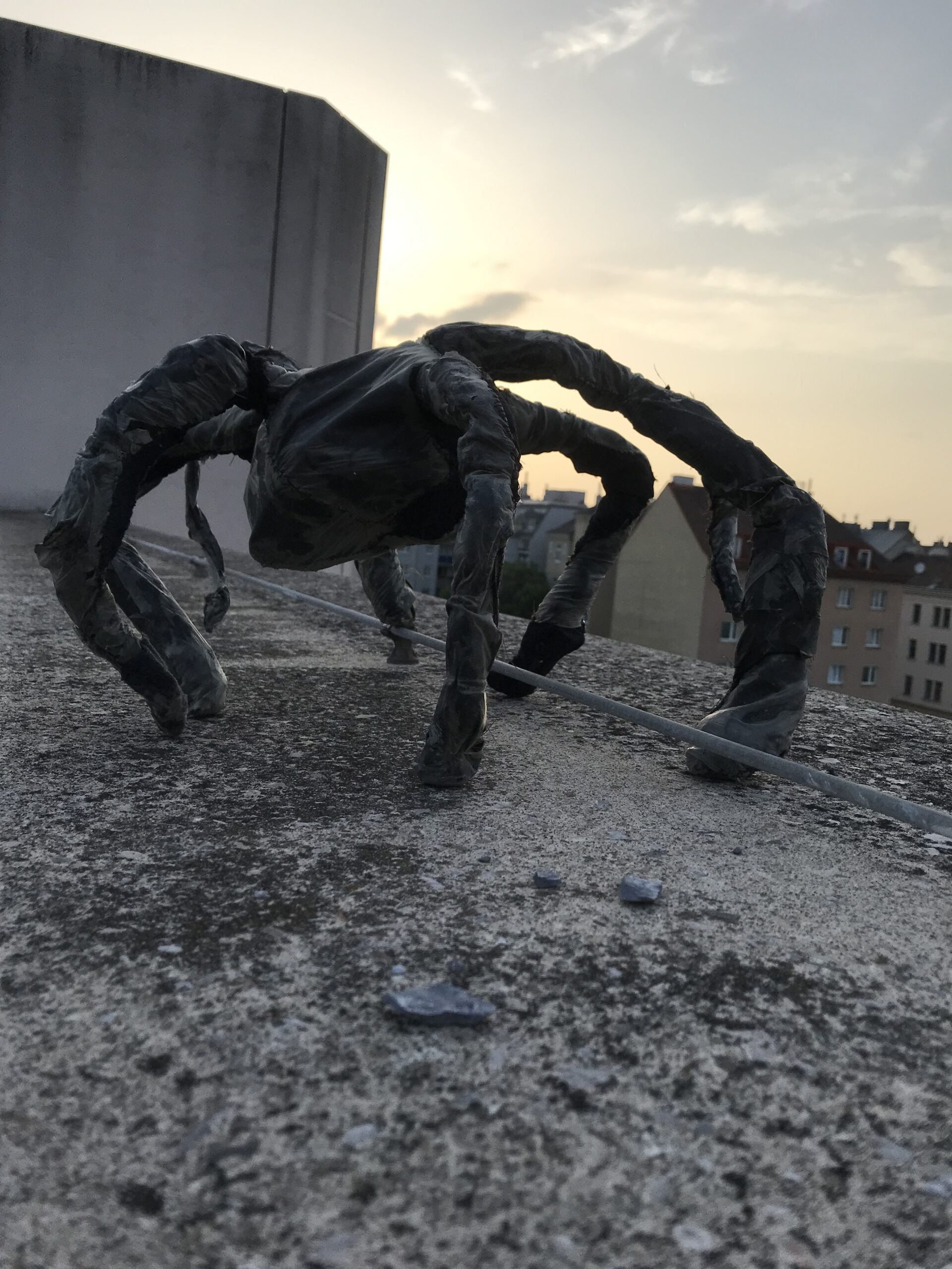 Read more about the article Urban spider
