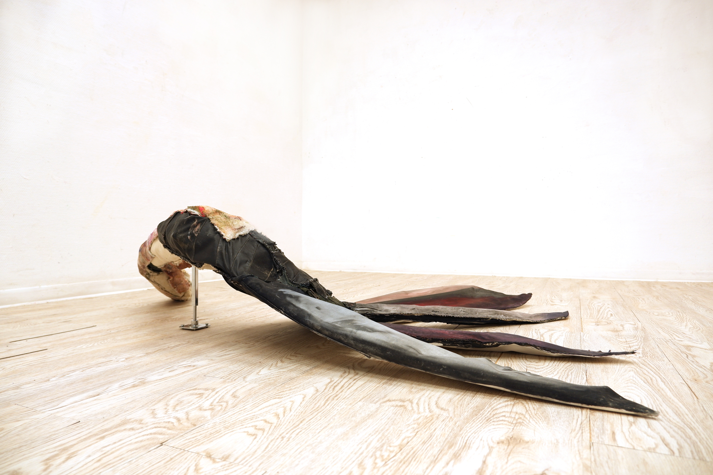 You are currently viewing When movement ends (1) | 2026