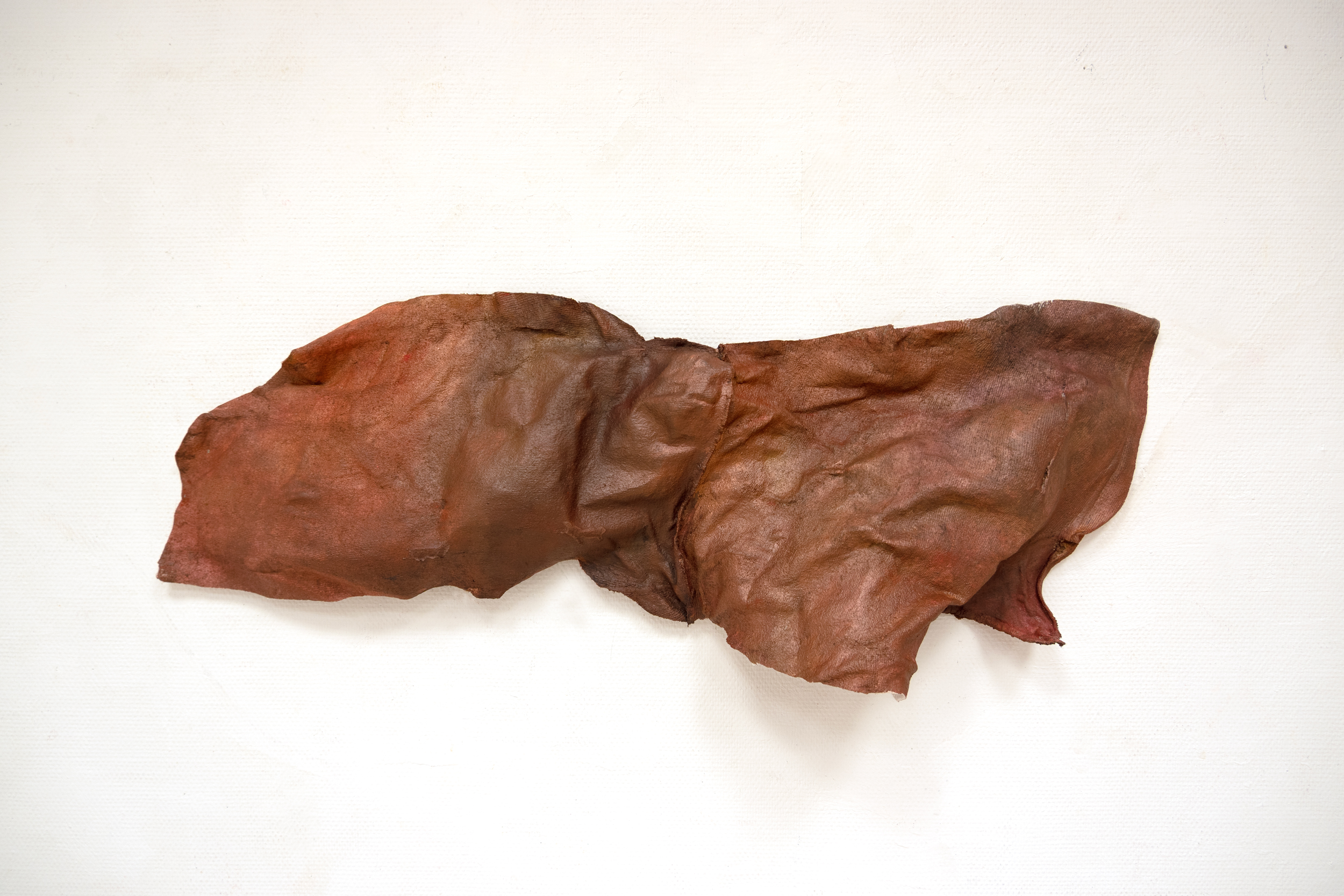 You are currently viewing When movement ends  (5) | 2026